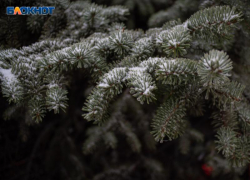 В Ставропольском крае прогнозируют заморозки до -1 градуса 29 ноября 