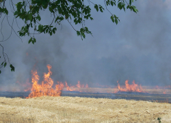 Около 240 пожаров произошли на Ставрополье за выходные