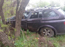 80-летний пенсионер на иномарке въехал в дерево из-за плохого самочувствия в Ставрополе