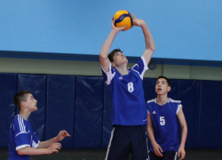 Кто поедет в Подмосковье: ставропольские волейболисты поспорят за «Серебряный мяч»