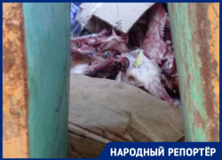 Вонючие черепа у детского сада возмутили жителей Ставрополя