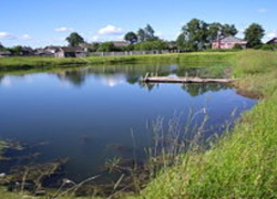 Следователи заинтересовались гибелью несовершеннолетних в водоемах Ставропольского края