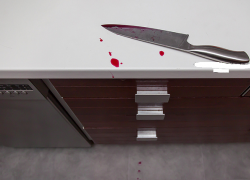 В Георгиевске сожители признаны виновными в убийстве и расчленении тела хозяйки-арендодателя