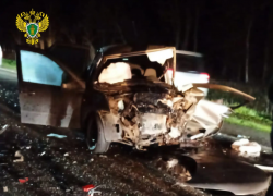 Погибли трое, в том числе ребенок: жесткое ДТП в Александровском округе 