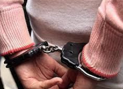 В Минераловодском районе поймали воровку