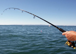 На Ставрополье пройдет чемпионат по спортивной рыбалке 