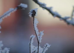 Штормовое не планирует отступать: на Ставрополье снова пообещали заморозки до -3