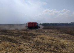 В Кировском округе пожар охватил 130 гектаров ячменного поля