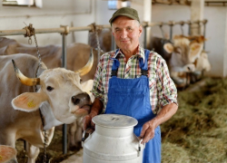 На развитие животноводства на Ставрополье фермерам выделили гранты на полмиллиарда рублей
