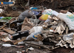 Мусорный полигон на КМВ закроют из-за незаконной работы