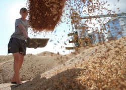 Мир может остаться без ставропольского зерна