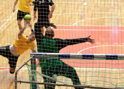 Новогодний отпуск у гандболистов команды «Динамо-Виктор» закончился в Ставрополе