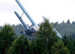 Самолет упал на электропровода и обесточил целое село на Ставрополье