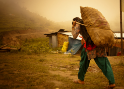 Житель Ленобласти уехал из Ставрополя с ворованной картошкой и пропал