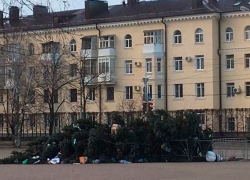 Сильный ветер опрокинул новогоднюю ёлку в Ставрополе