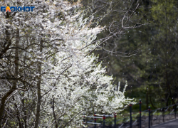 Сильный ветер и небольшой дождь прогнозируют синоптики 9 марта в Ставропольском крае