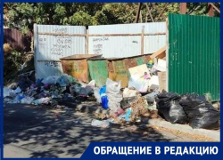 «Город превращается в свалку»: бездействие коммунальщиков Ставрополя возмутило читательницу