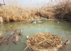 Пропавшего 24-летнего парня нашли мертвым на Ставрополье