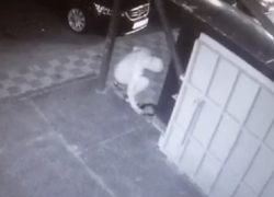 Неизвестный вандал нарисовал загадочные круги на баннере тату-салона в Ставрополе и попал на видео