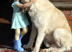 Стали известны подробности смерти 2-летней девочки от клыков собаки на Ставрополье