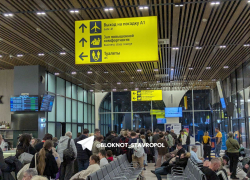 Три досмотра и ревущие белугой дети: полет в Санкт-Петербург из Ставрополя обернулся задержкой на 8 часов 