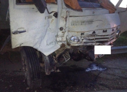 Кролики остались целы в столкновении двух грузовиков на Ставрополье - два человека пострадали