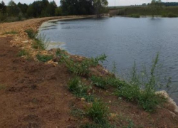 Несовершеннолетний утонул в пруду Благодарного