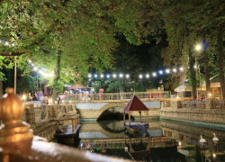 В Ставрополе спасатели вытащили собаку из водоема