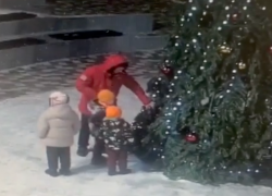 Отец позволил детям залезть в городскую елку в Иноземцево 