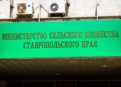 Двух новых замов представил министр сельского хозяйства Ставрополья 