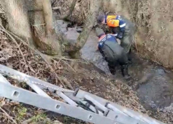 Тело пожилого мужчины вытащили из реки Горькой на Ставрополье