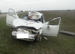 Женщина на "десятке" сбила корову и разбилась насмерть в Ставропольском крае