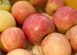 Бум подорожания яблок и яиц зафиксировали аналитики на Ставрополье 