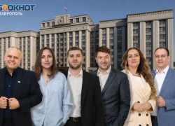 Квартиры, японский автопарк и почти 10 миллионов дохода: с чем идут в Госдуму ставропольские «Новые люди»