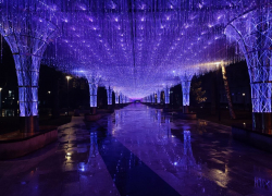 Будущее туманно: чего ждать от погоды в начале рабочей недели на Ставрополье