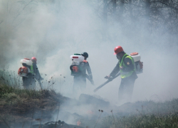 Бушующий пожар едва не уничтожил лес в Кисловодске