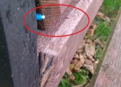 О новом "челлендже" с зараженными ВИЧ иголками предупредили ставропольчан