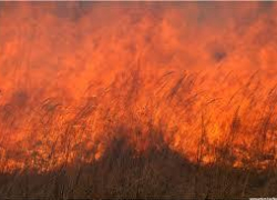 На Ставрополье пожарные сутки пытались побороть огненную стихию