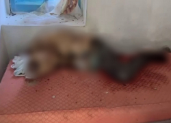 Тело мертвого мужчины нашли в церковной сторожке на Ставрополье