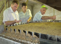 Немцы построят огромную "Долину семян" на Ставрополье