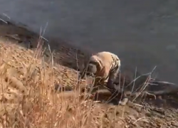 На сливе в реку нечистот поймали полицейские сотрудника сельской администрации на Ставрополье