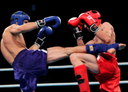 Свыше 300 кикбоксеров со всего СКФО соревнуются в Кисловодске