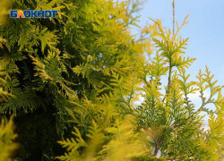 Ощущается как +2: какая погода будет в Ставрополе 18 марта 