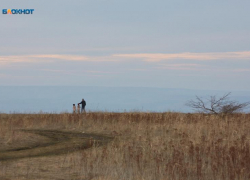 Роспотребнадзор предупредил ставропольцев о раннем пробуждении клещей