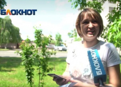 За какую партию на выборах будут голосовать ставропольцы