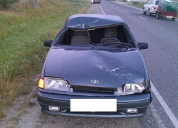 Водитель «четырнадцатой» на ночной трассе сбил насмерть лошадь и попал в больницу под Кисловодском 