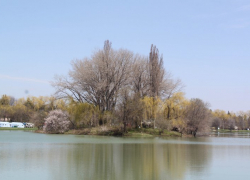 На Ставрополье речной заплыв чуть не закончился бедой для подростков