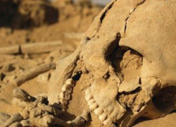 На ставропольской остановке нашли останки человека пятилетней давности