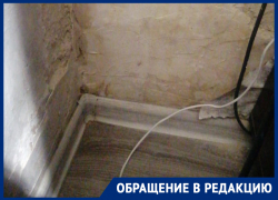 Жительница Ставрополя больше года мирится с плесенью и грибком в многоэтажке