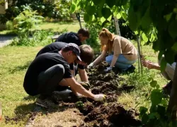 В Ставрополье партия «Новые люди» высадила 3 тысячи деревьев в честь учителей и воспитателей